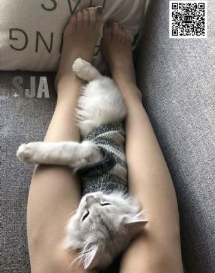 日韩免费黄色网站_1080电影在线观看